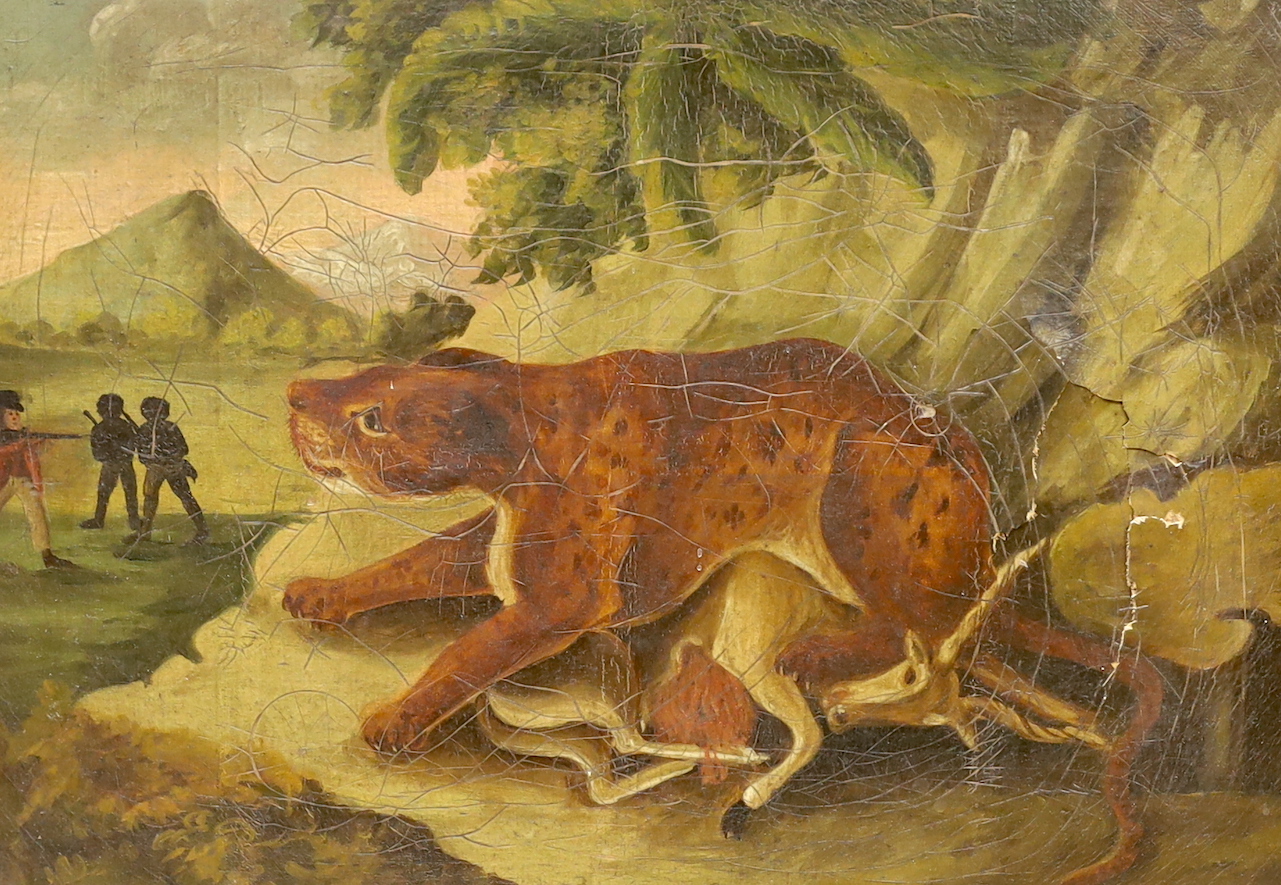 19th century English naive School, oil on canvas, Lion Hunt, 23 x 33cm, housed in an ebonised frame with applied Tudor Rose mounts